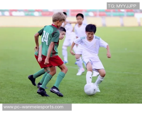 足球牢笼中的梦想与挣扎：探讨运动员的心灵与自由的边界