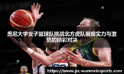 完美电竞官网